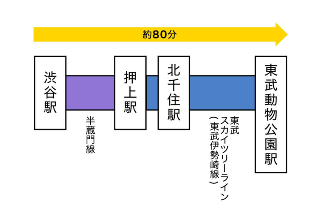 電車行程の図:渋谷駅から半蔵門線で押上駅、押上駅から北千住植木経由で東武動物公園駅行きの東武スカイツリーライン(東武伊勢崎線)に約80分かかる