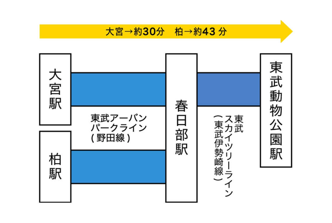 電車行程の図:大宮駅、柏駅それぞれから東武アーバンパークライン(野田線)にて春日部駅へ。そこから東武動物公園駅行きの東武スカイツリーライン(東武伊勢崎線)。大宮からは約30分、柏からは約43分かかる。