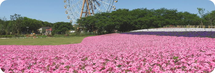 動物園