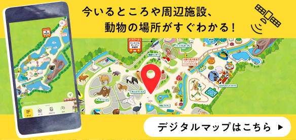 デジタルマップ