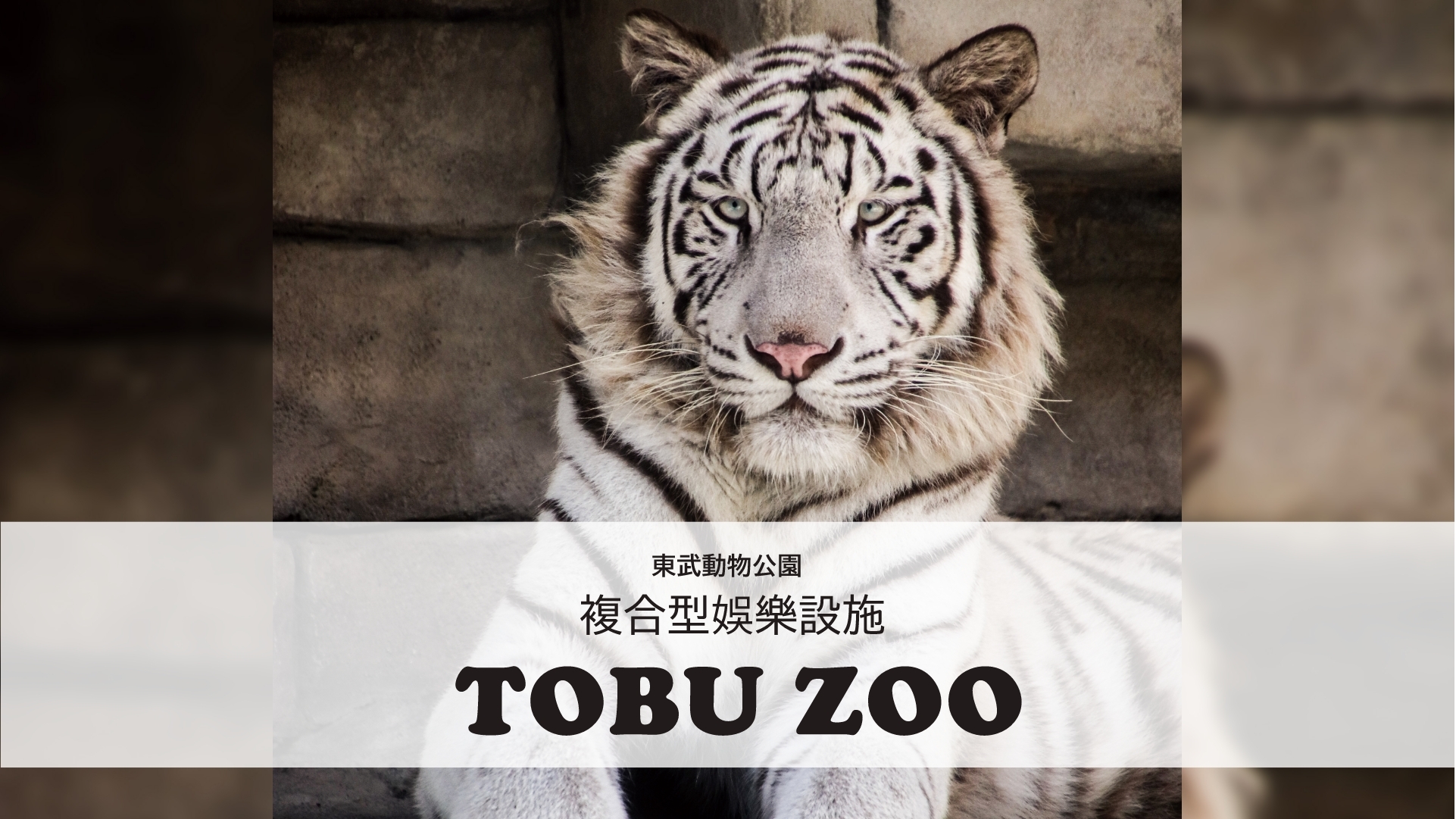 複合型娛樂設施 TOBU ZOO