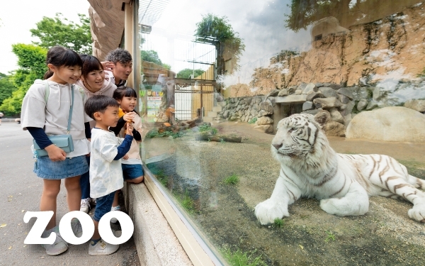 zoo