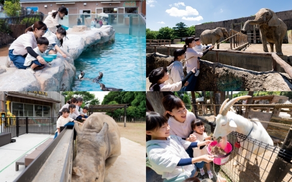 zoo