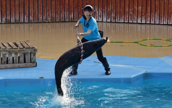 zoo