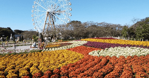 季節の草花がいつでも楽しめる