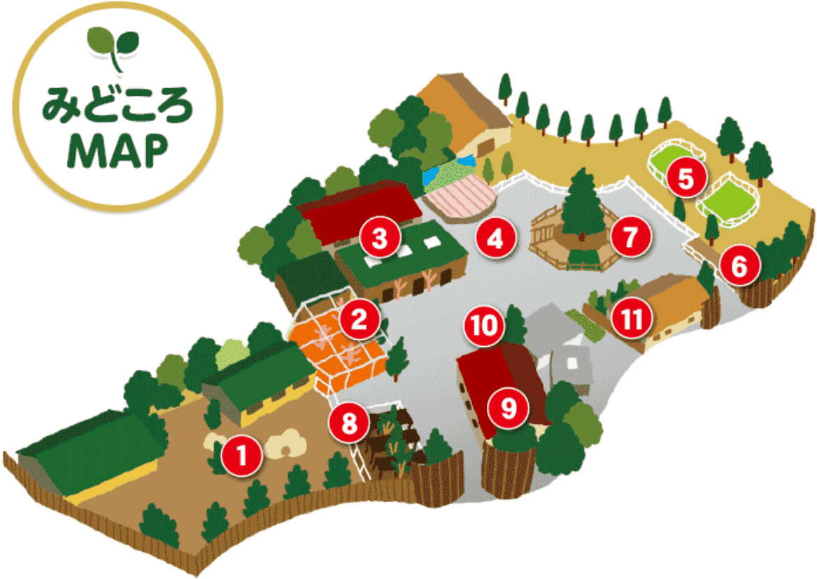 触れて・感じて・学べる11の体験型施設