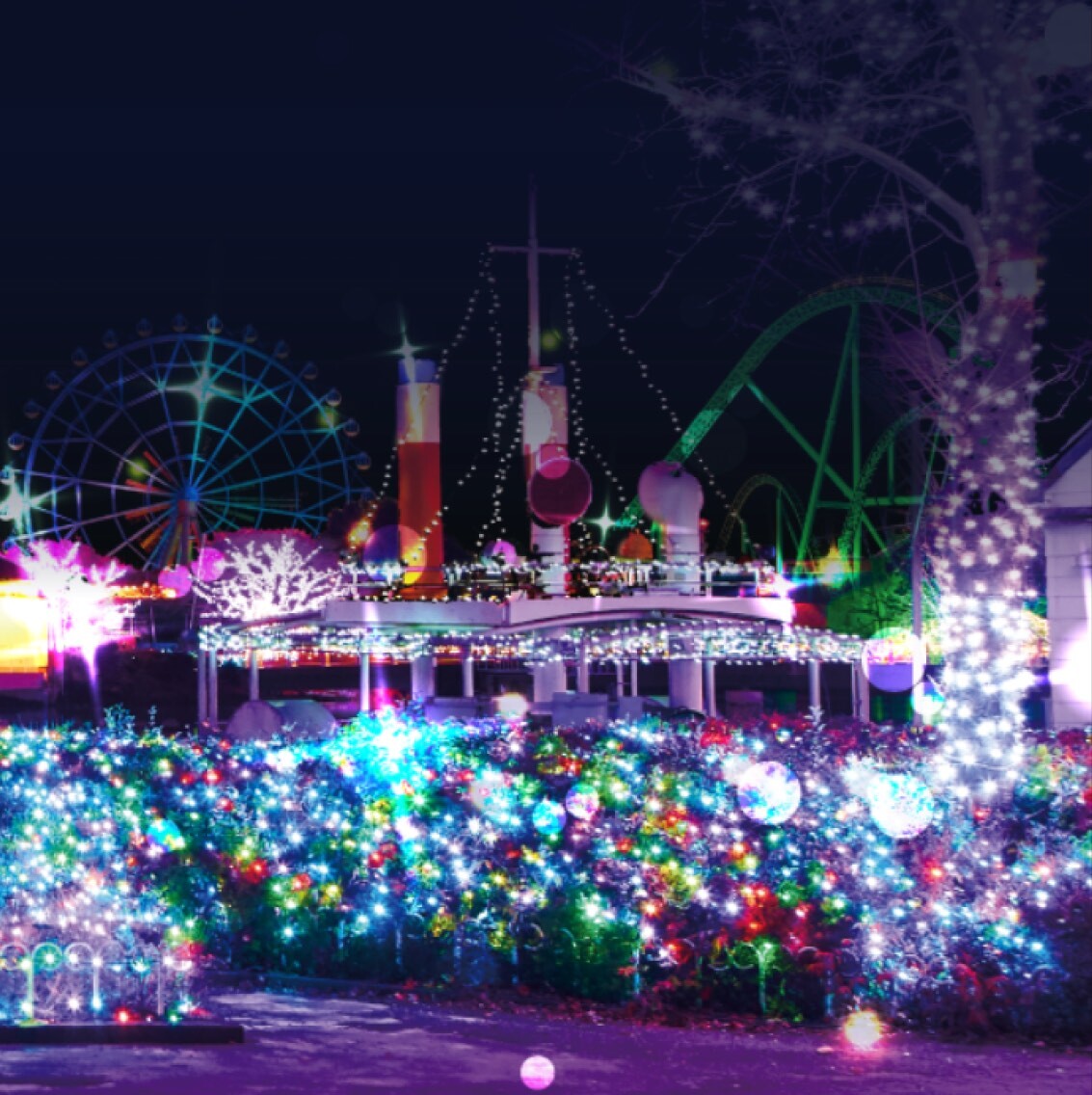 夜のイルミネーションの様子