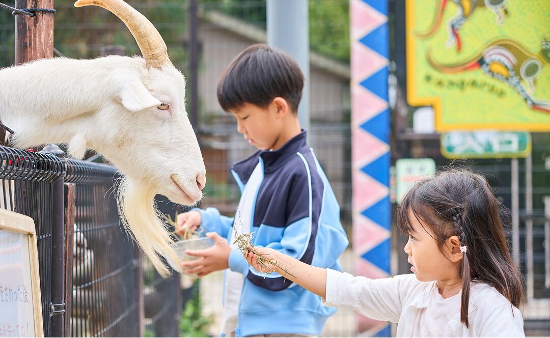 ヤギに餌付けをしている子供達の様子