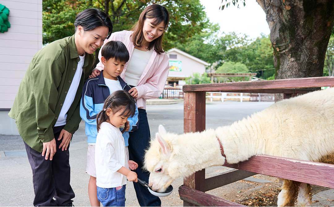 アルパカに餌付けをしている親子の様子