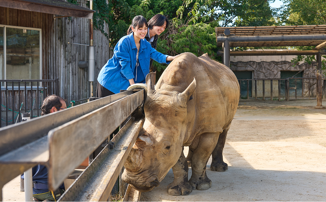 際の背中を撫でているお客様の様子