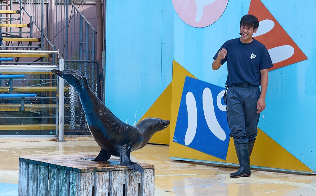 オットセイのトレーニングの様子