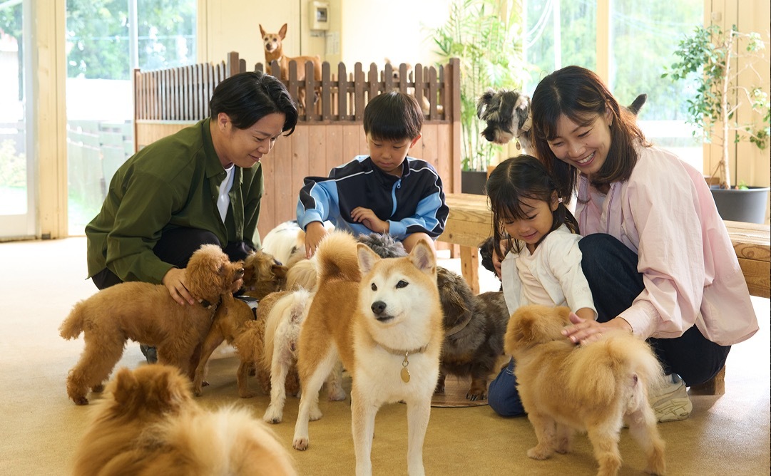 犬たちと戯れる家族の様子