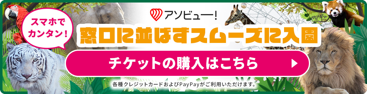 アソビュー:便利な電子チケットへのリンク画像。様々な決済方法に対応