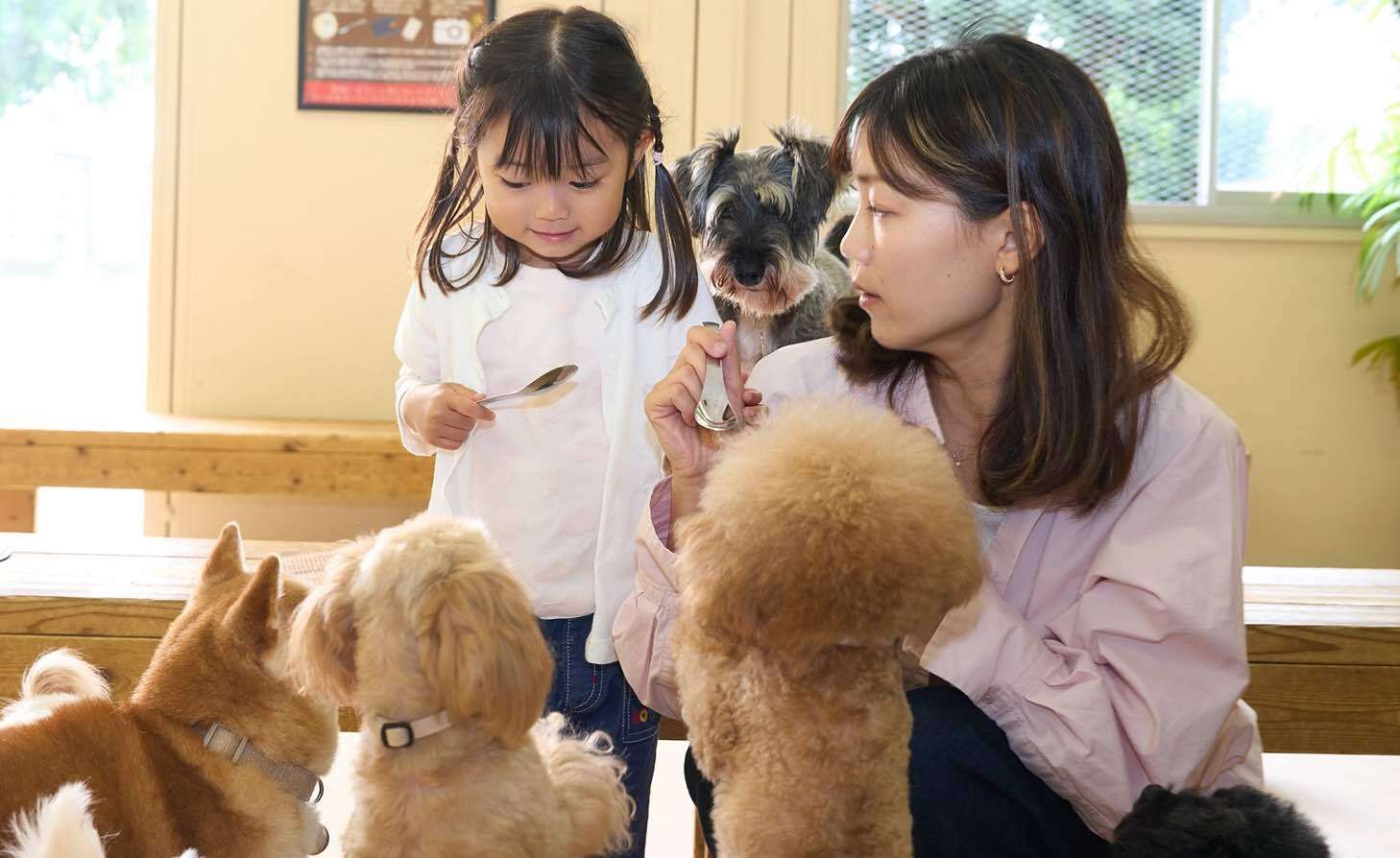 犬たちと戯れる親子の様子