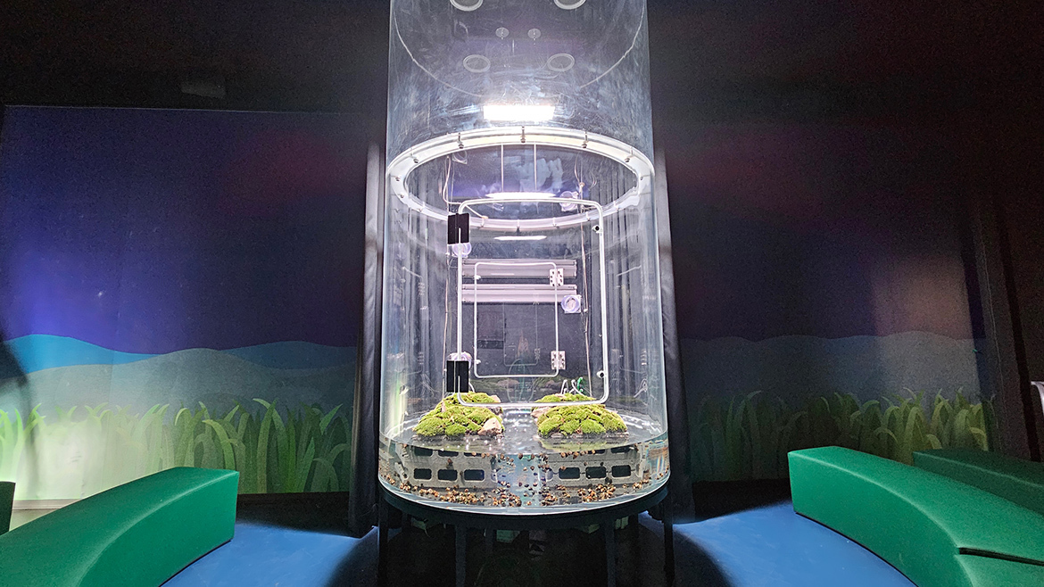 飼育装置の画像