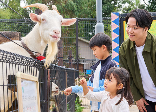 ふれあいどうぶつの森