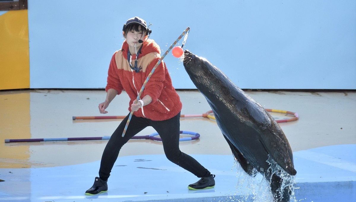 🎪動物パフォーマンスイベントのご紹介