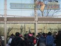 0_ep_1455182911.jpg