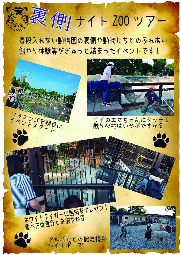 裏側ナイトZOOツアー始末記1.jpg