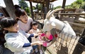 🍎動物エサやりイベントのご紹介