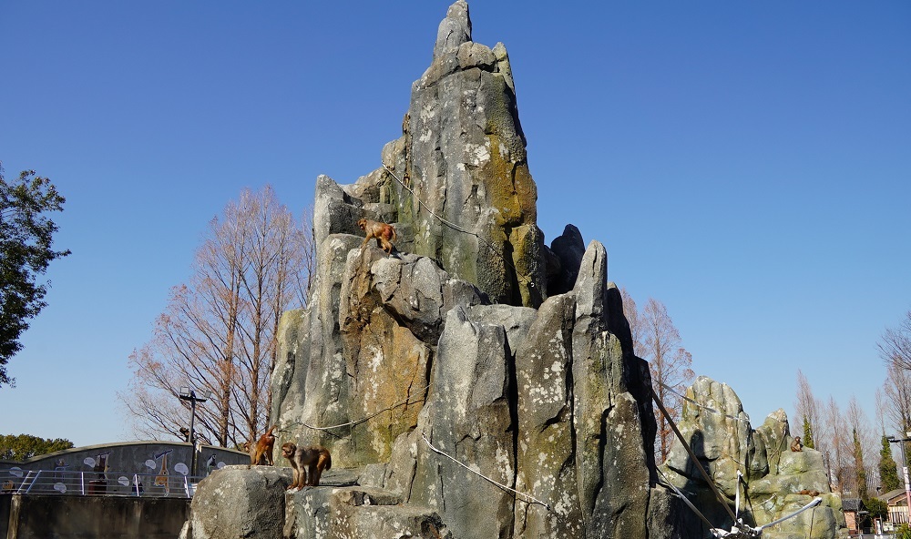 DSC02136 (JPG 319KB)