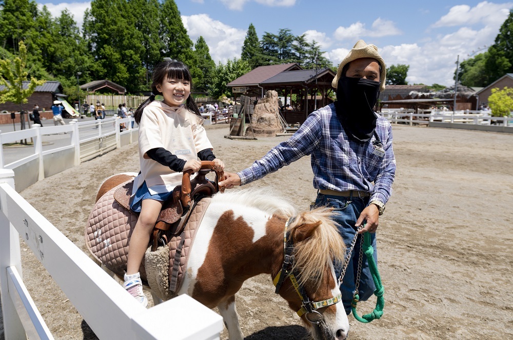 ポニーライド詳細