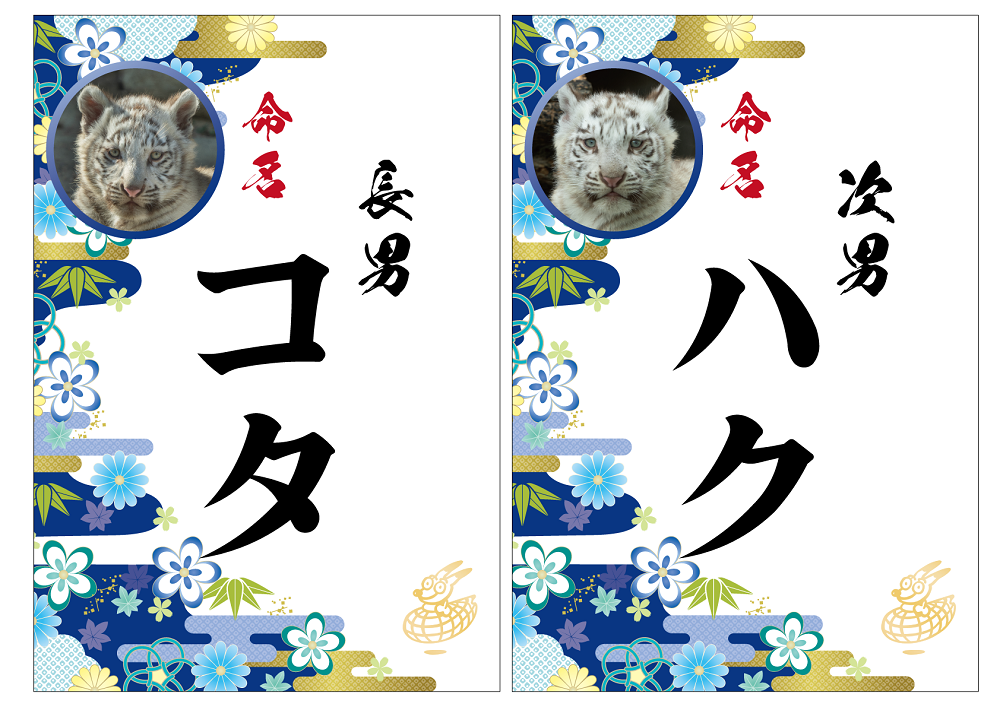 命名.png