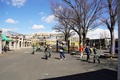 DSC00246.JPG