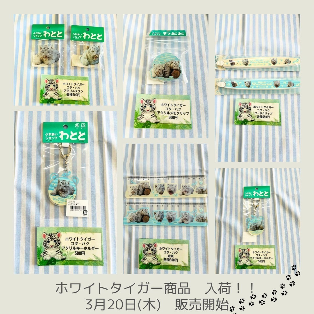 チビとら.jpg