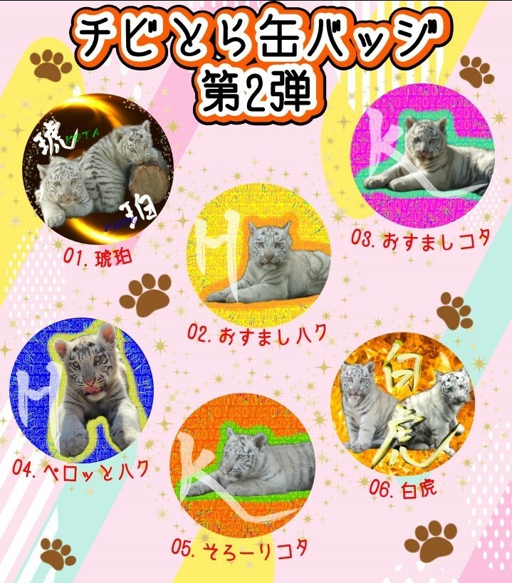 缶バッジ表.jpg