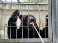 クマのおやつコーナー