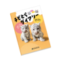 hyoshi.png