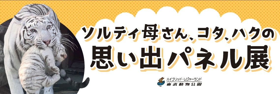 スクリーンショット 2025-05-20 152334.jpg