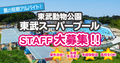 プール求人