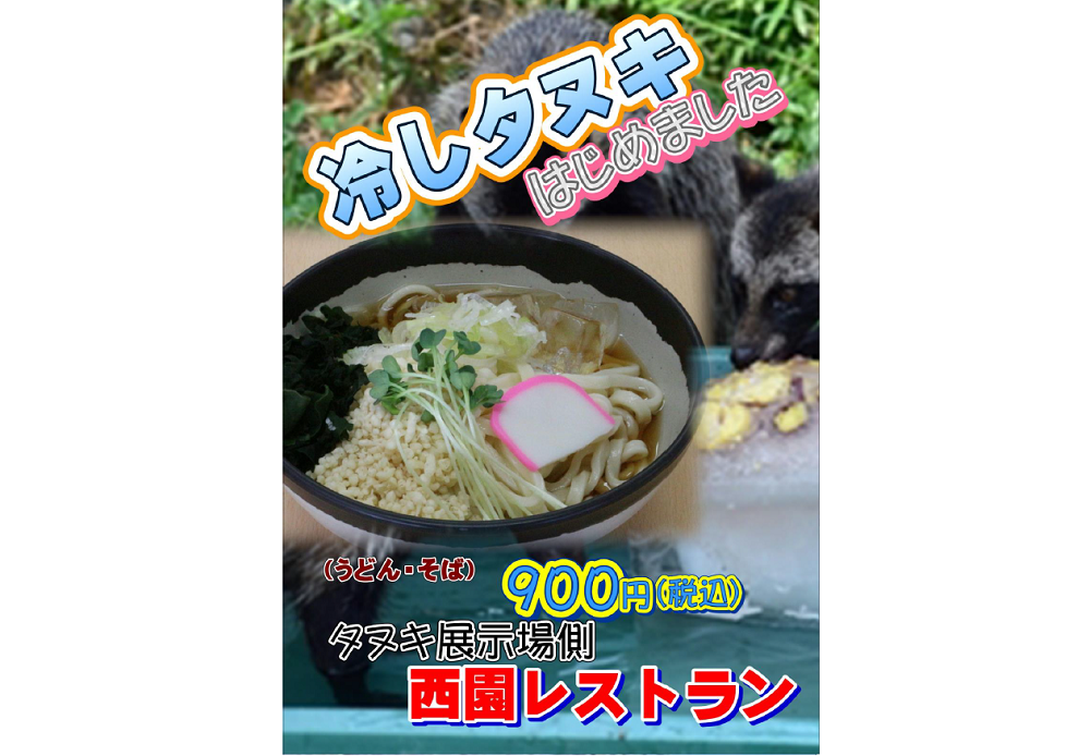 冷やしタヌキ.png