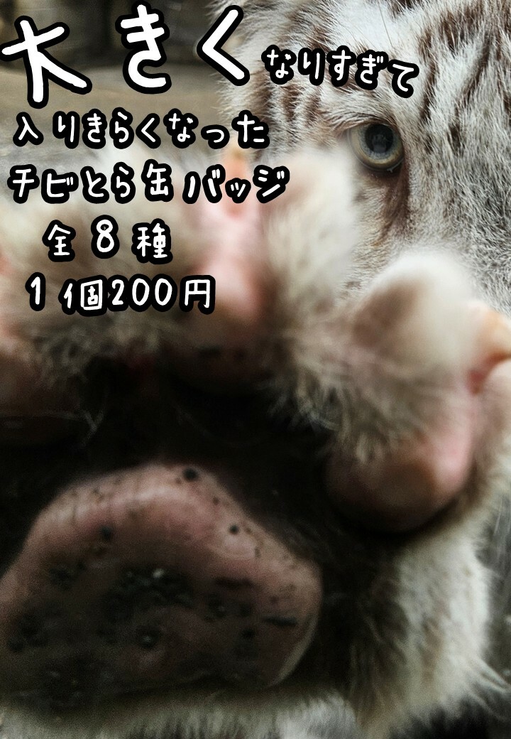 ちびとら3弾.jpg