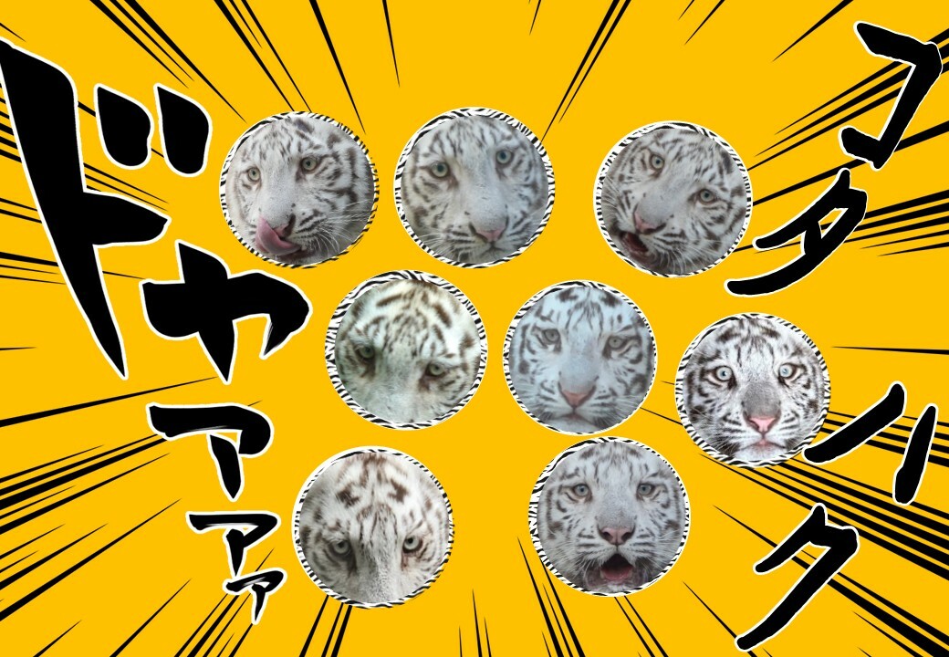缶バッジラインナップ.jpg