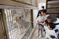 ホワイトタイガーディナー.jpg