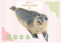 はなまる.png