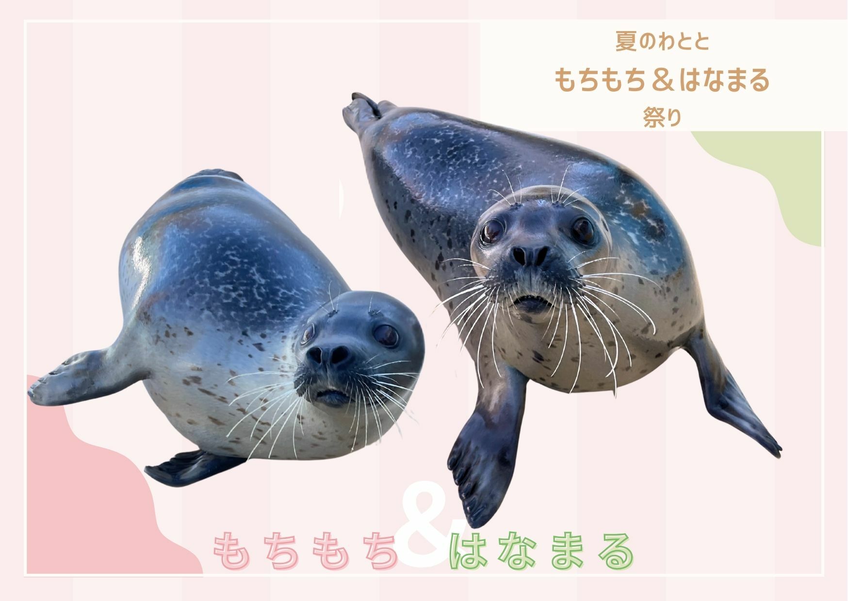 もちはな.jpg