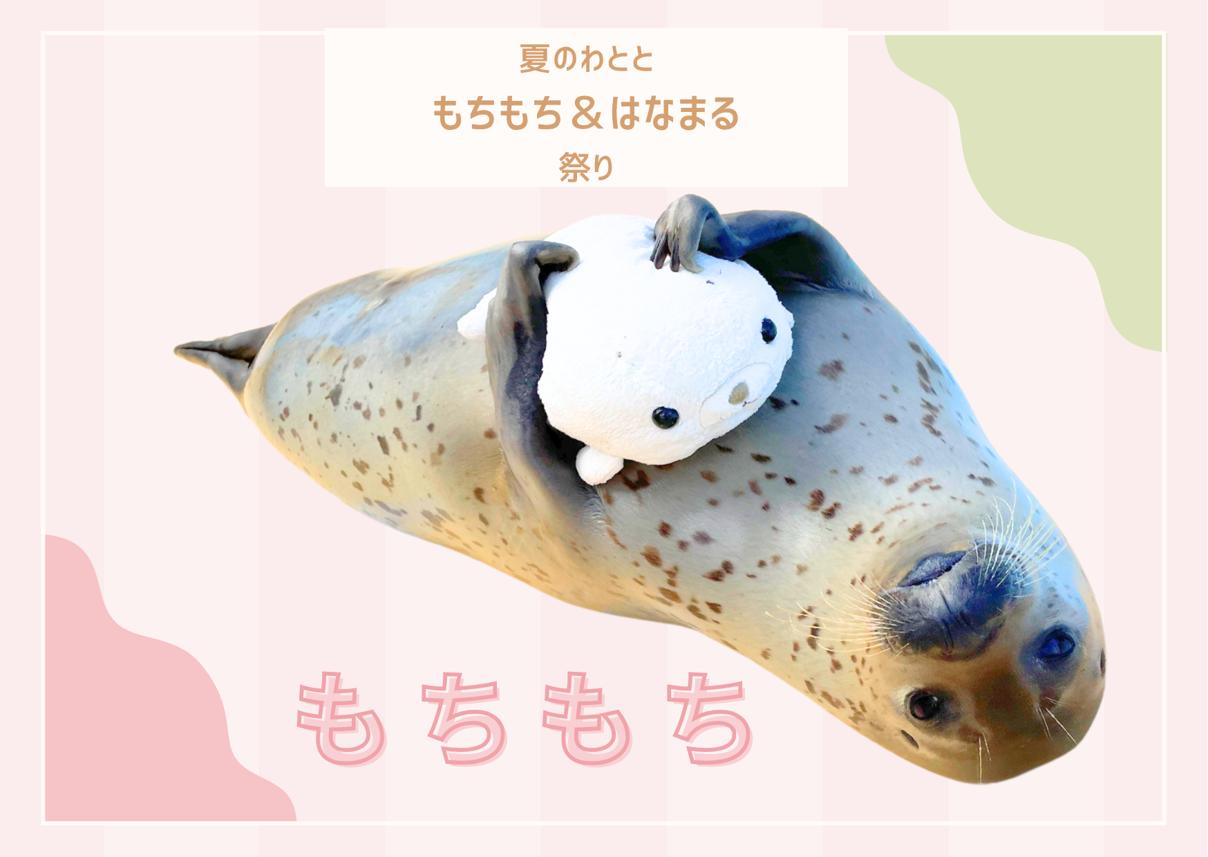 もちもち.png