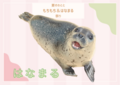 はなまる (PNG 616KB)