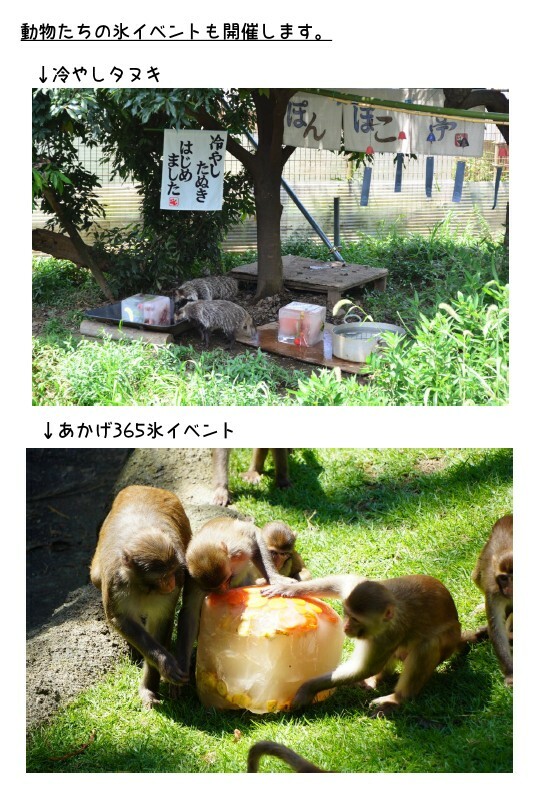 夏対策4.jpg