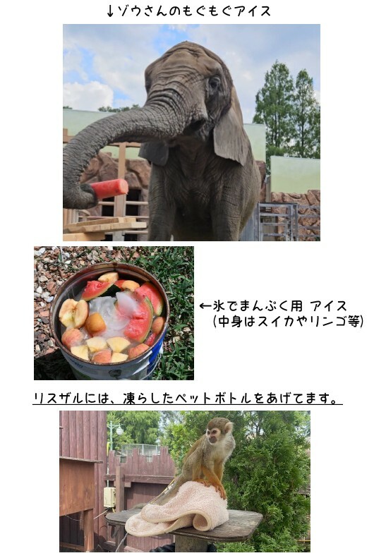 夏対策5.jpg
