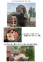 夏対策5.jpg