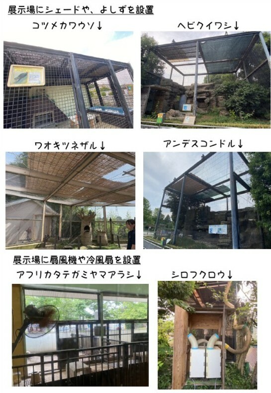 夏対策2 (2).jpg