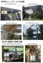 夏対策2 (2).jpg