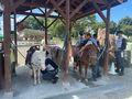IMG_5250.jpg