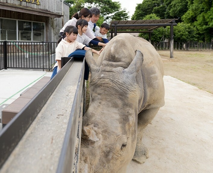 img_event_sai.jpg img_event_sai (JPG 121KB)