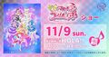 プリキュア11月